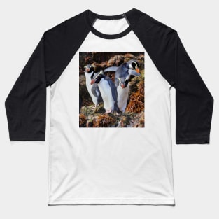 Snares Crested Penguins Baseball T-Shirt